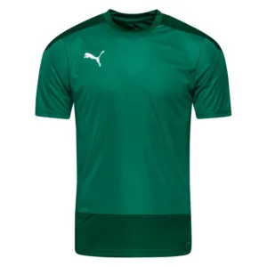 PUMA Trænings T-Shirt teamGOAL 23 – Grøn/Grøn, størrelse XX-Large