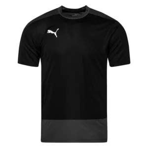 PUMA Trænings T-Shirt teamGOAL 23 – Sort/Asfalt, størrelse X-Large