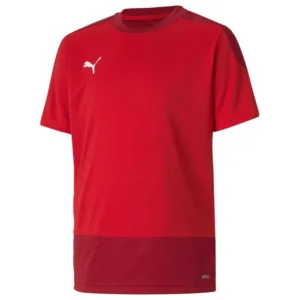 PUMA Trænings T-Shirt teamGOAL 23 – Rød/Rød Børn