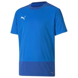 PUMA Trænings T-Shirt teamGOAL 23 – Sort/Asfalt Børn, størrelse YL/152 cm